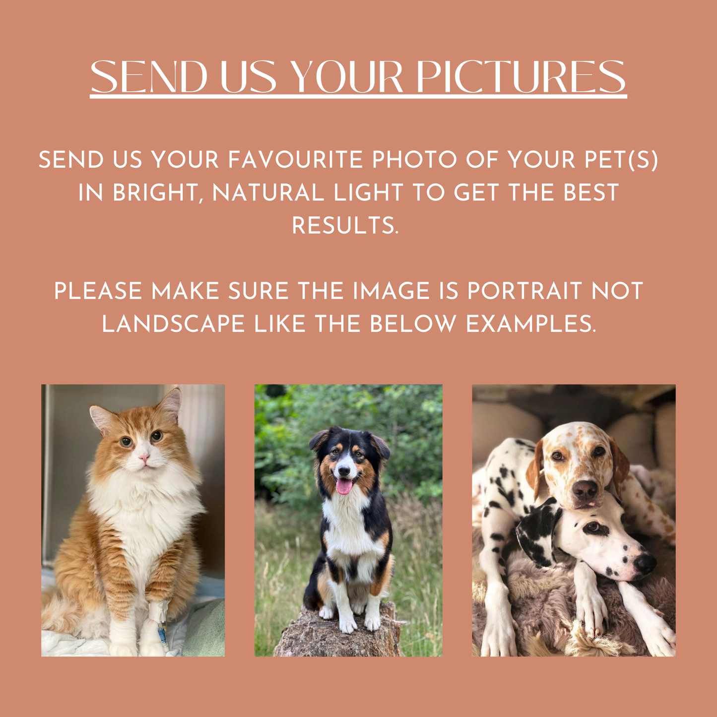 Custom Pet Phone Case - Polaroid Pets