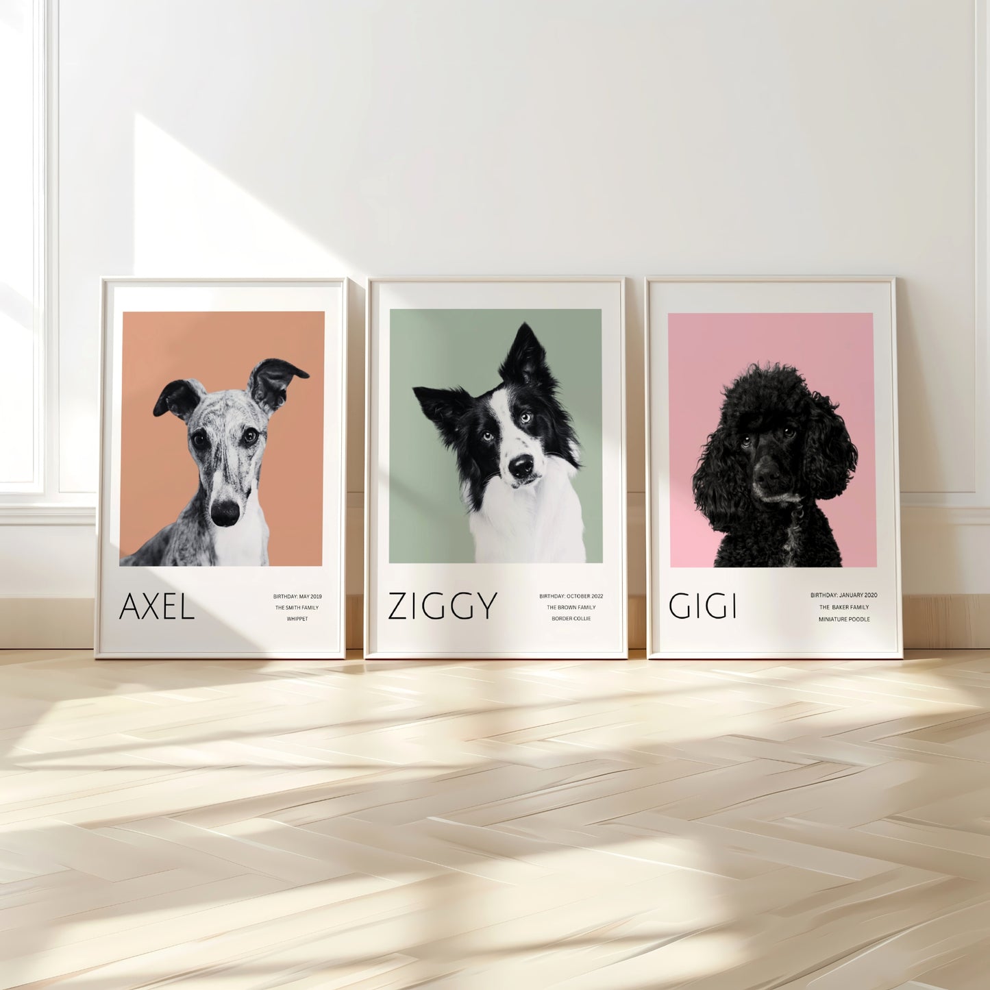 Custom Pet Portrait