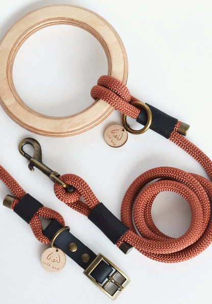 Luxury handcrafted bronze dog lead with wooden handle and antique brass fittings.